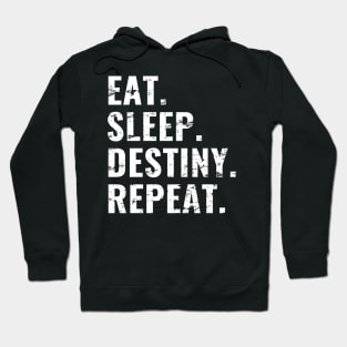 Eat Sleep Destiny Repeat, Distress Style Hoodie